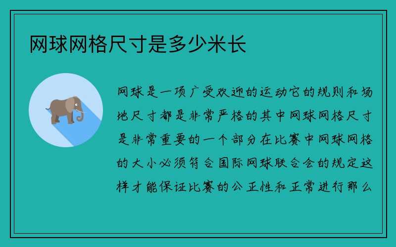 网球网格尺寸是多少米长