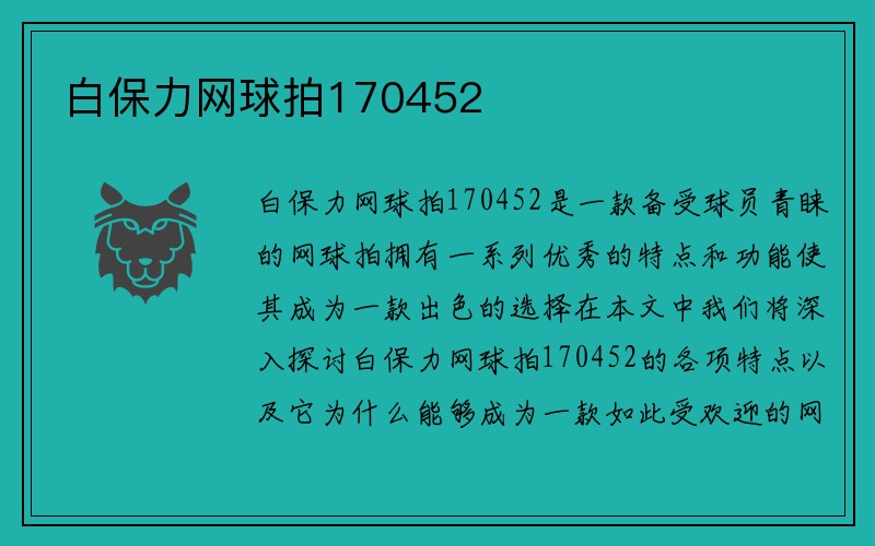 白保力网球拍170452