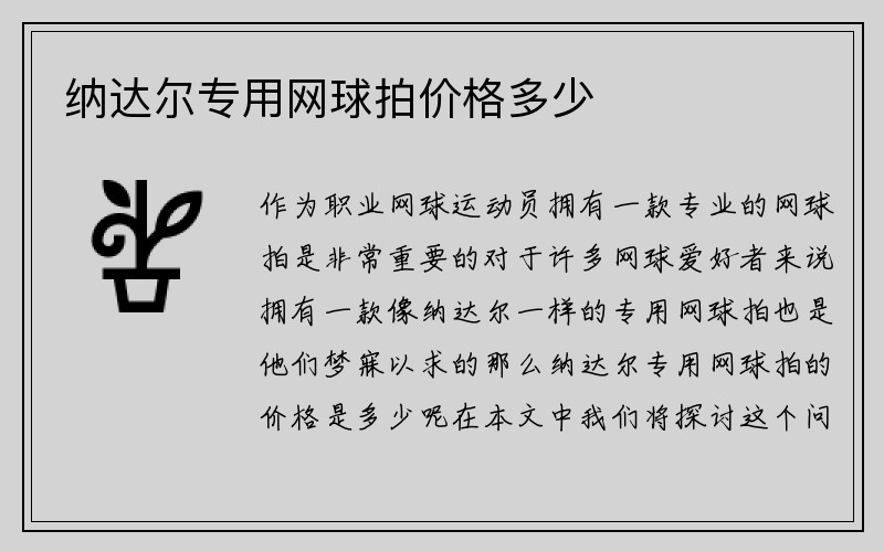 纳达尔专用网球拍价格多少