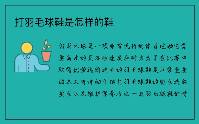 打羽毛球鞋是怎样的鞋