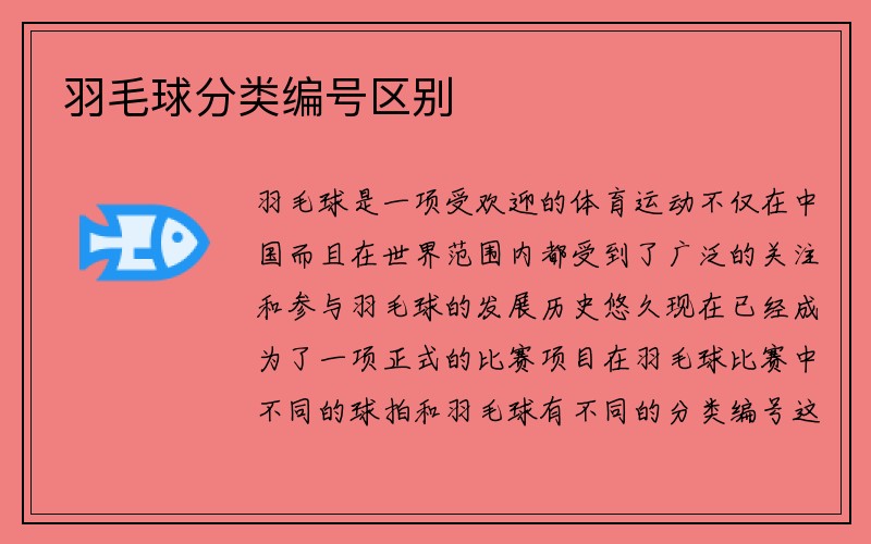 羽毛球分类编号区别