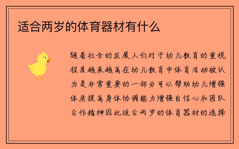 适合两岁的体育器材有什么