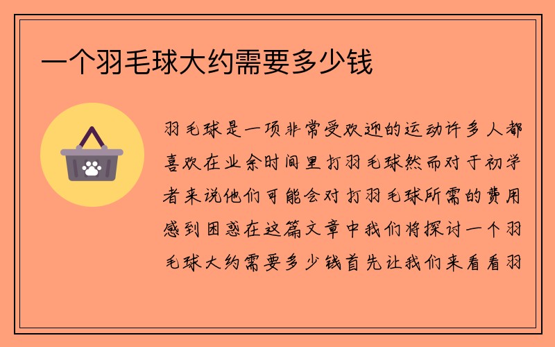 一个羽毛球大约需要多少钱