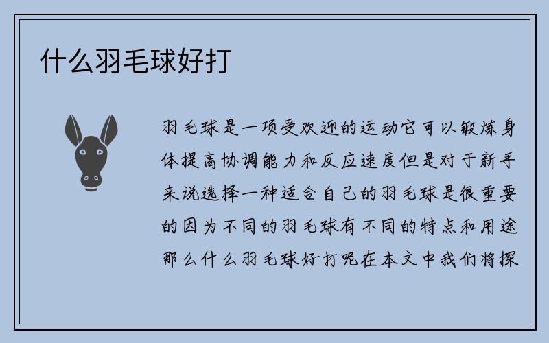 什么羽毛球好打