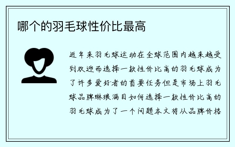 哪个的羽毛球性价比最高